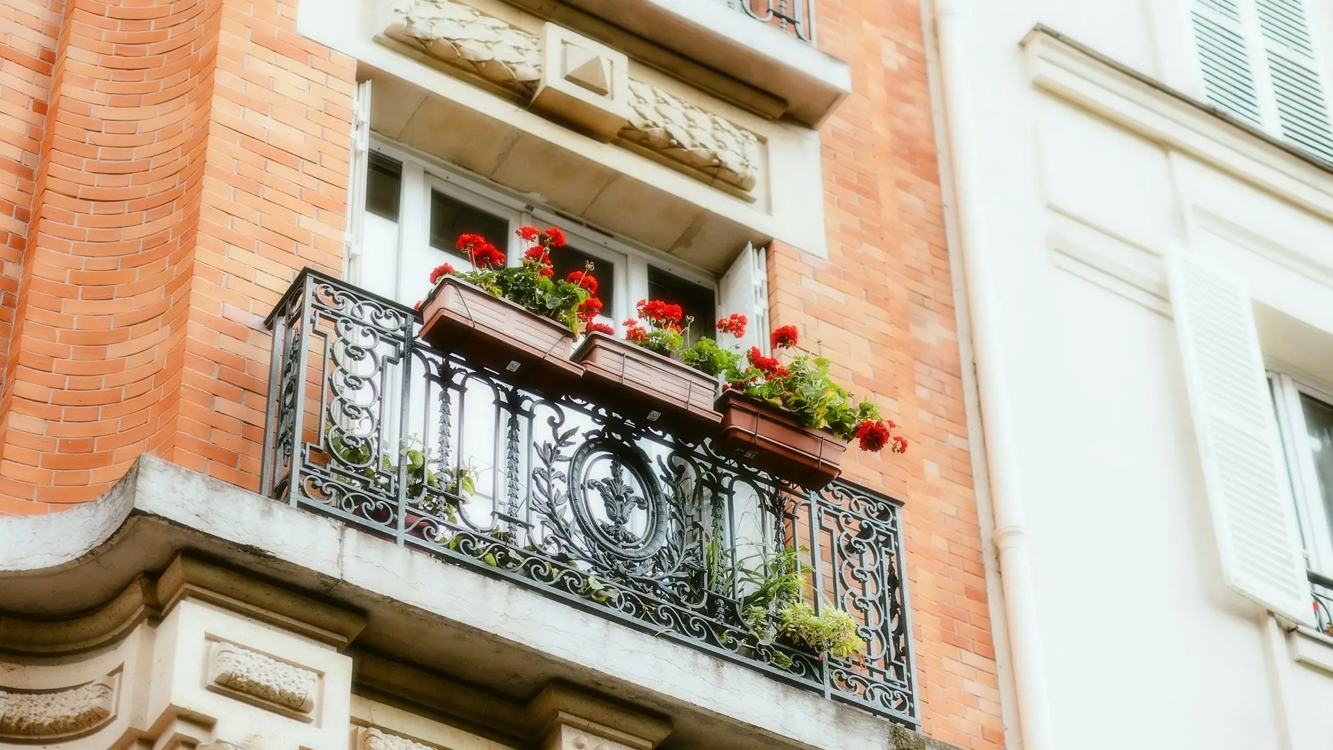Schmiedeeiserner Balkon mit roten Geranien