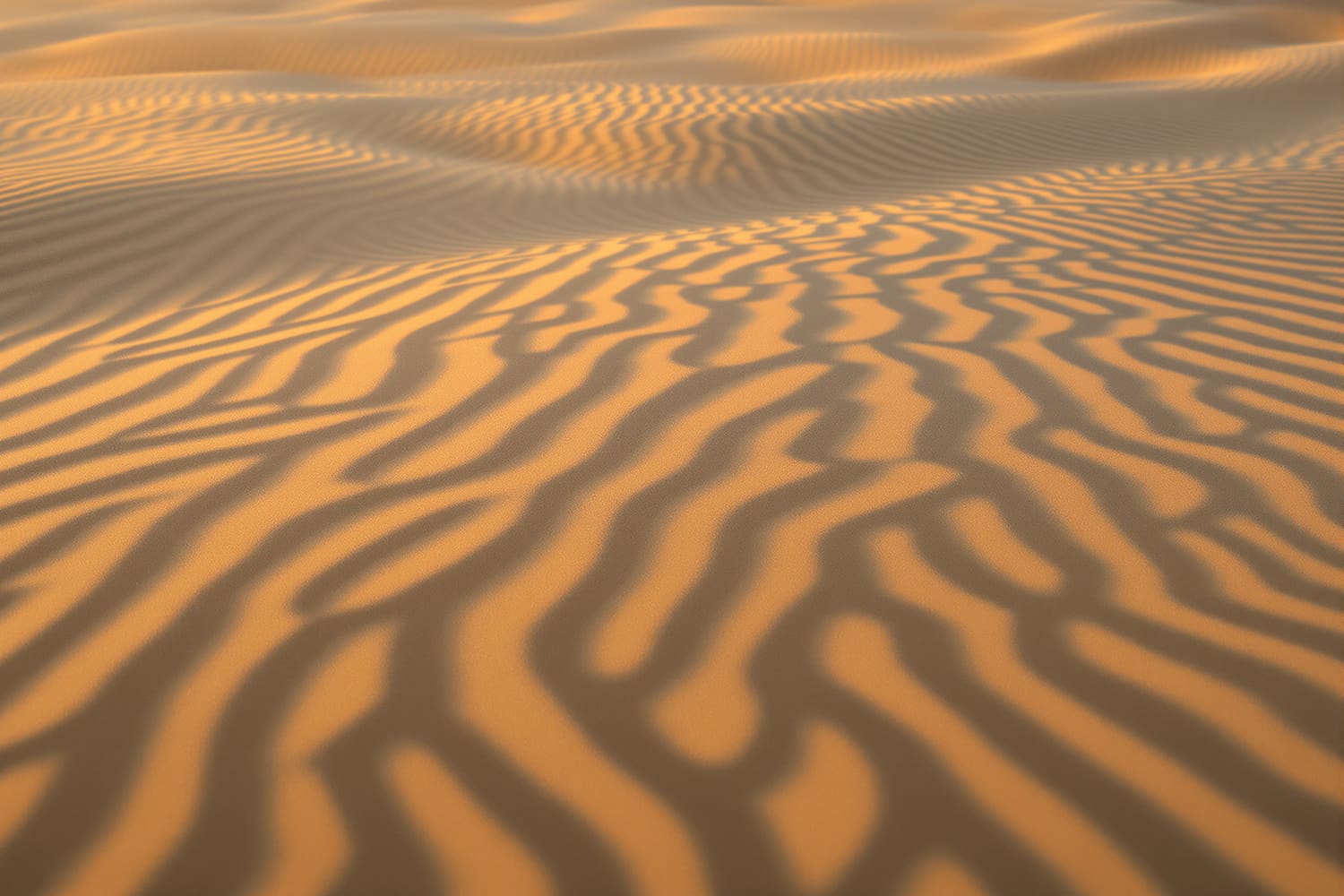 Vom Wind geformte Sandrippel